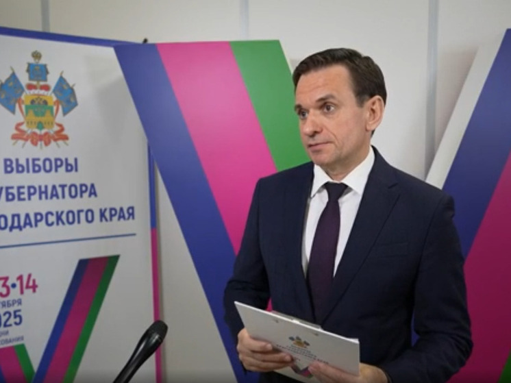 Председатель ИК Краснодарского края: кубанцы, не находящиеся в регионе, смогли поучаствовать в выборах губернатора