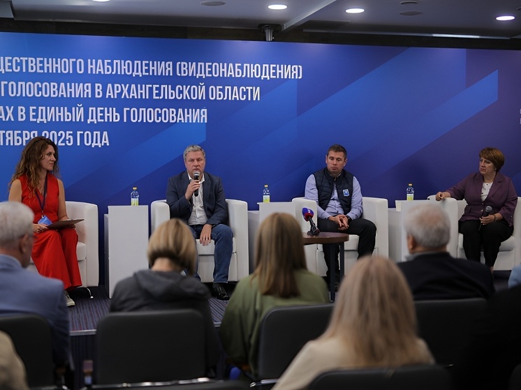 Главы Архангельска, Северодвинска и Приморского округа рассказали об особенностях голосования
