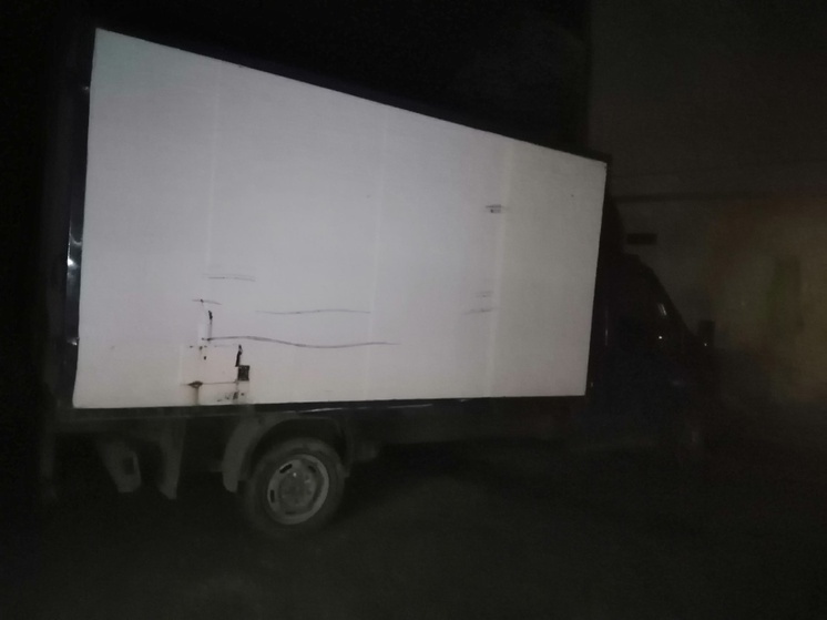 Инспекторы вышли из тьмы перед засорявшими лесополосу новгородцами