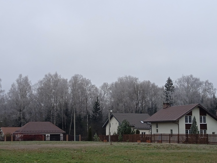 Первые заморозки пришли в Подмосковье