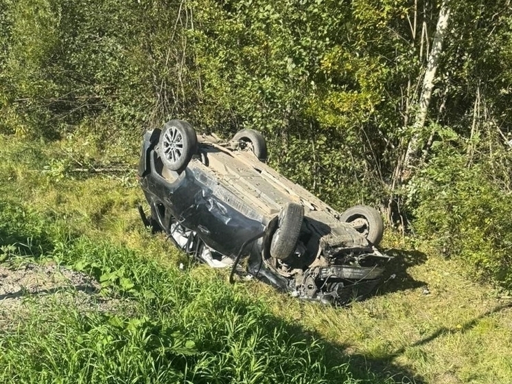 В Сокольском районе два человека получили травмы в результате ДТП