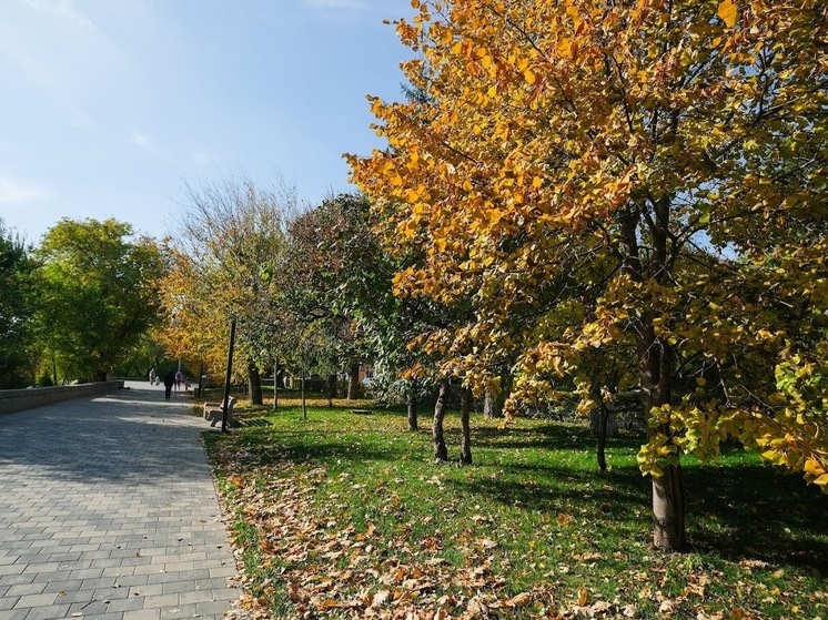 В Волгоградской области ночью 14 сентября ожидается похолодание до 0 ℃