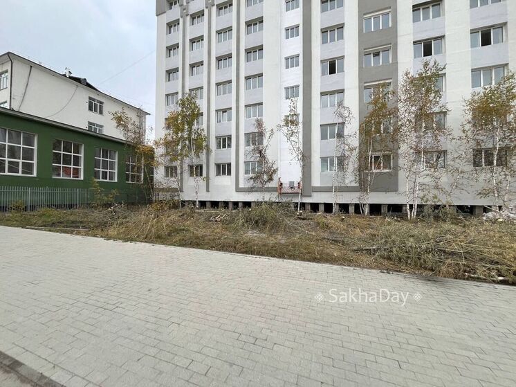 В центре Якутска зафиксирована незаконная вырубка зеленых насаждений