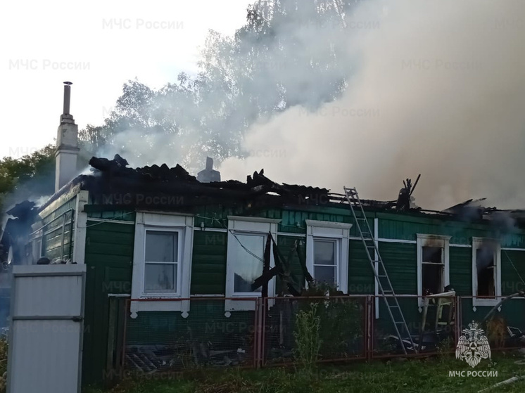 СКР занялся гибелью женщины в огне в Жиздре