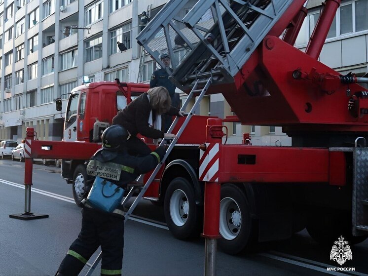 Приморцев дважды за день зажало между машинами и ограждениями: есть погибшие