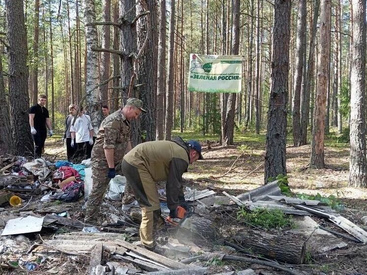 Владимирская область присоединилась к всероссийской акции по сохранению лесов