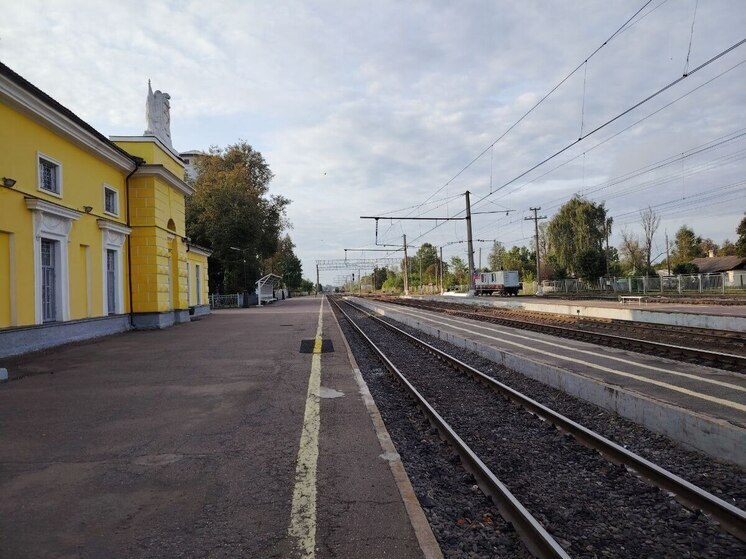 В Ленобласти отменили семь пригородных поездов из-за аварии под Лугой