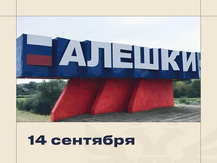 Губернатор Сальдо поздравил Алёшки с Днём города