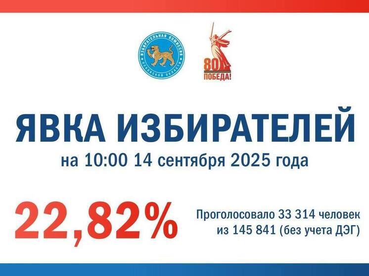 Явка на выборы в Псковской области составила более 26%