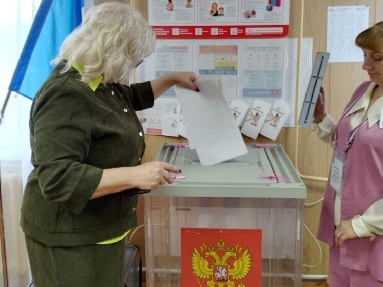 Студентам из Индии рассказали об особенностях выборов в России