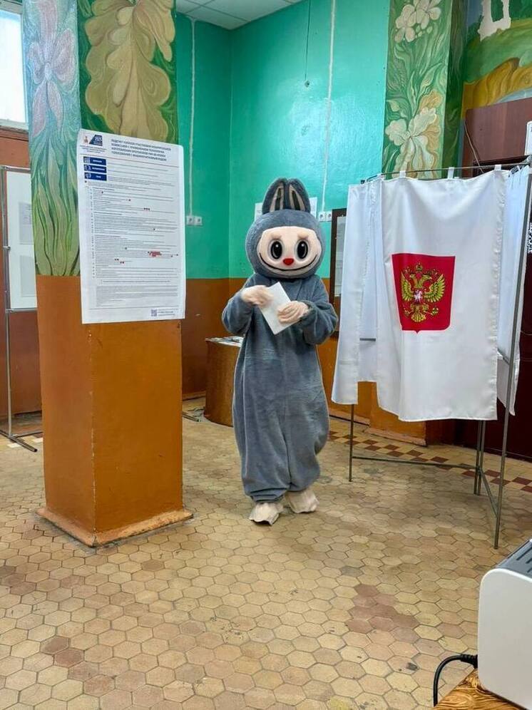 Избиратель в Чесменском районе проголосовал в костюме Лабубу