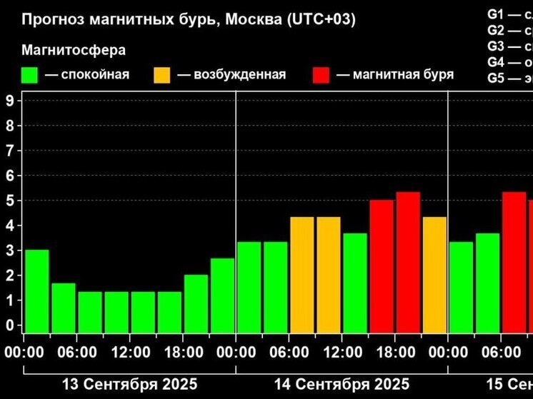 Метеозависимым жителям Карелии рассказали, как легче перенести магнитную бурю