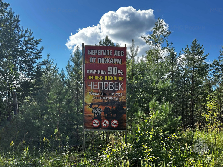 В Калужской области сохраняется красный уровень опасности пожаров