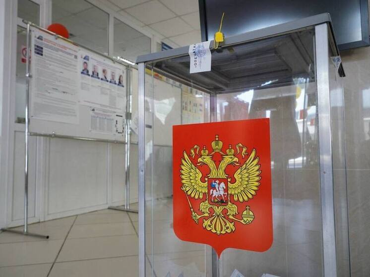 В Самаре на выборах в ГорДуму за двое суток проголосовали менее 15% избирателей