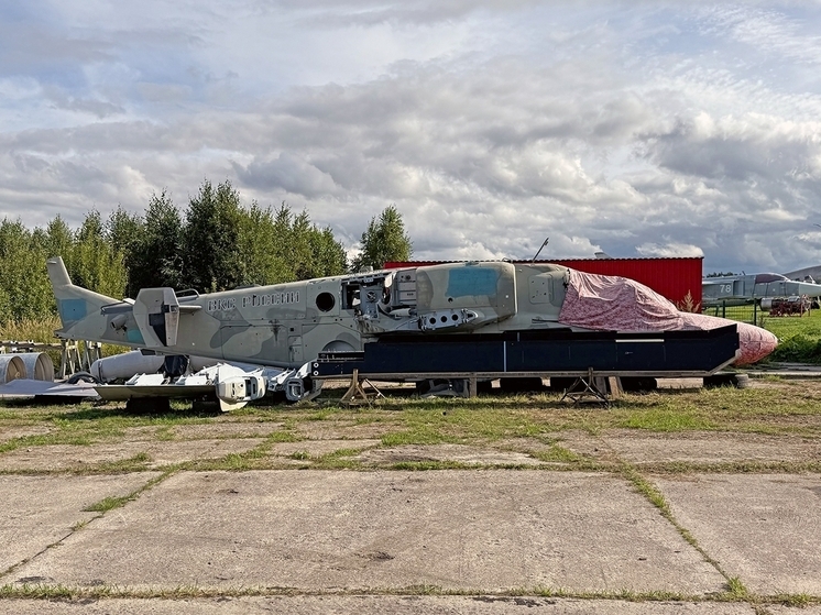 В коллекцию калужского авиапарка «Орешково» отдали «Аллигатора»