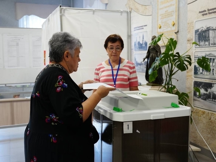 В Ростовской области зафиксировали самую высокую явку избирателей за всю историю выборов главы региона