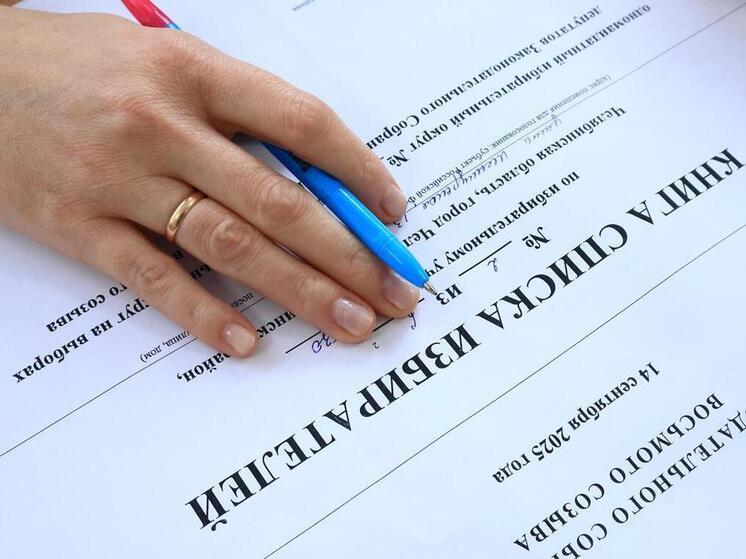 Члены избиркома Челябинской области оценили разные форматы голосования
