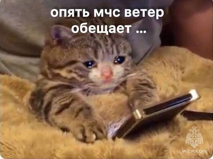 До 20 метров в секунду разгонится ветер в ЯНАО 15 сентября