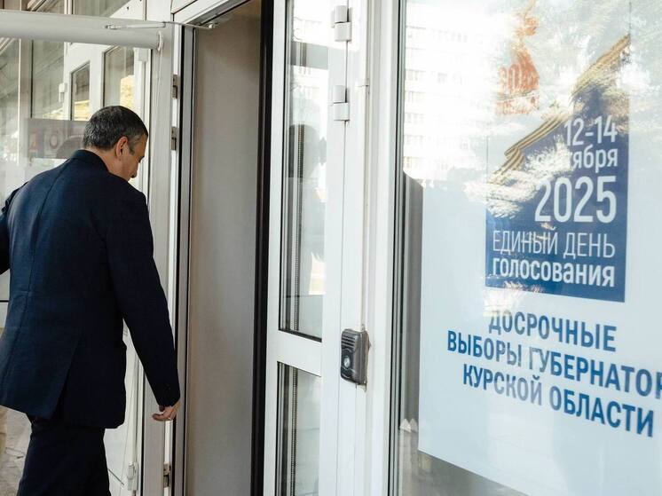 Хинштейн проголосовал на досрочных выборах губернатора