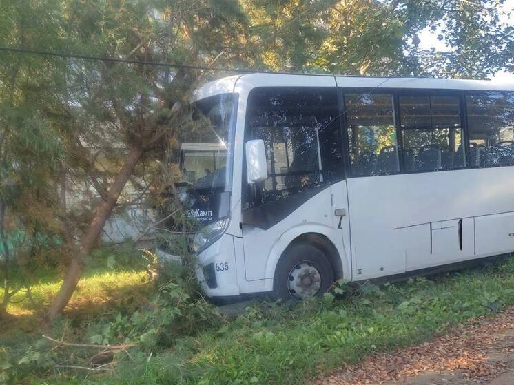 Автобус №127 «Кострома-Татьянино» потерпел аварию возле деревни Татарское
