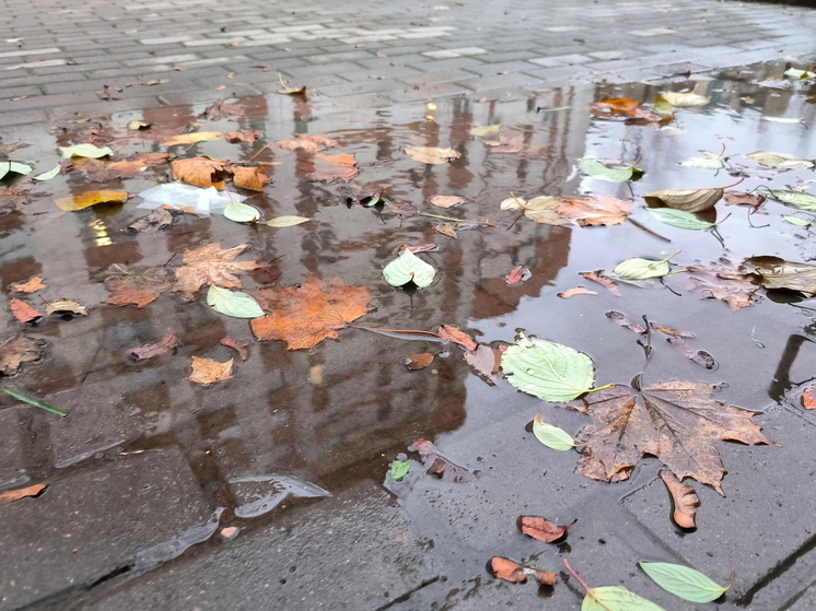 Синоптик Тишковец сообщил, когда в Москву придет метеорологическая осень