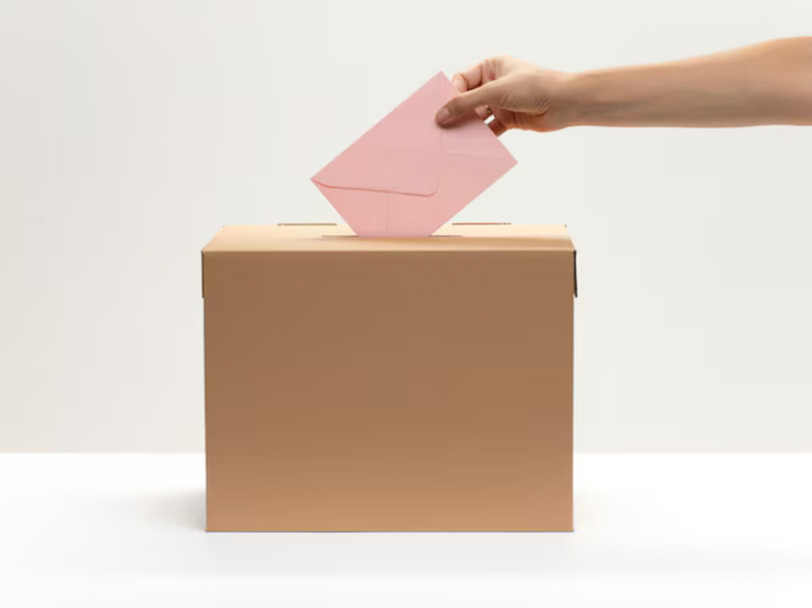 В области проходят выборы в местные органы власти