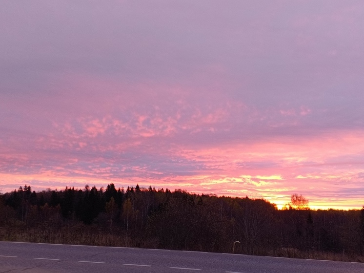 Метеорологическая осень начнется в Москве на следующей неделе