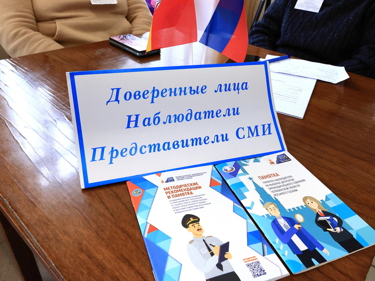Общественники поделились результатами наблюдений на УИК Челябинской области