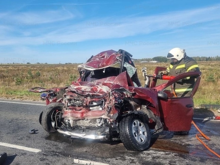 Массовое ДТП под Перемышлем: на месте работали 27 человек