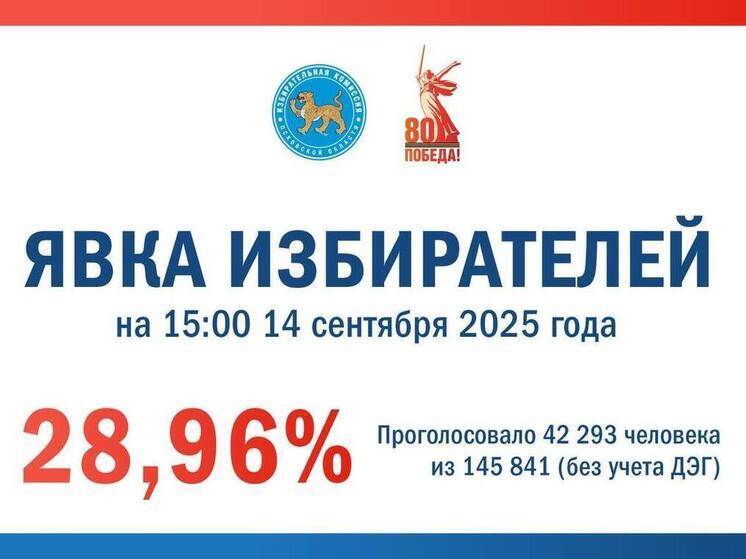 Более 28% составила явка на выборы в Псковской области