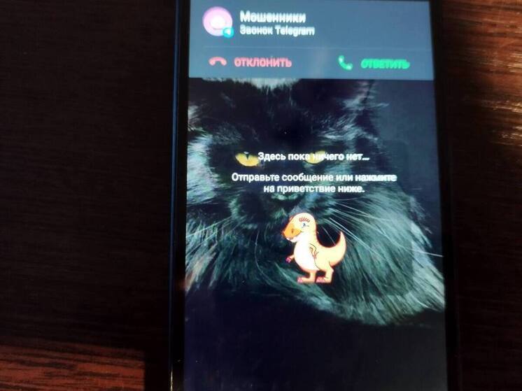 Схема фейковых пожертвований обманула жителей Ленобласти