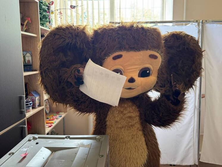  В Кисловодске на выборы пришел народный любимец Чебурашка