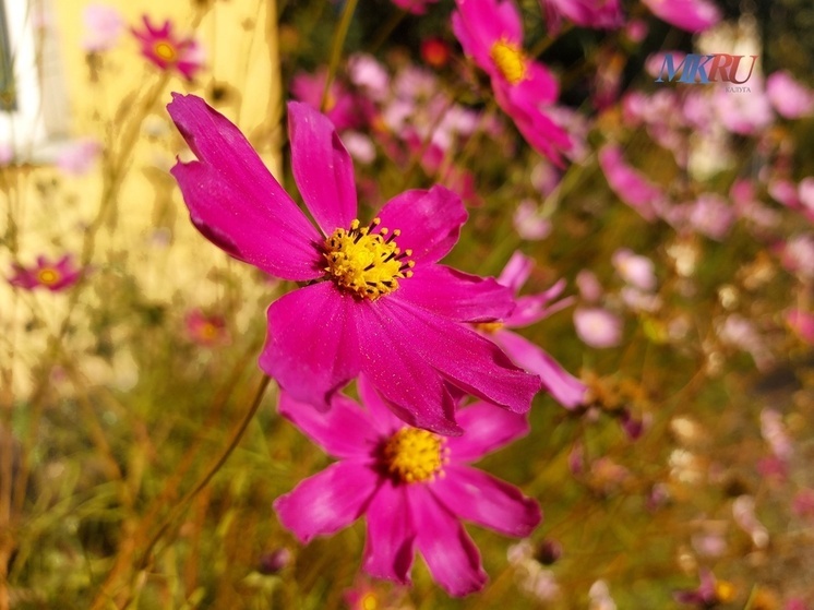 В Калуге потеплеет и будет солнечно