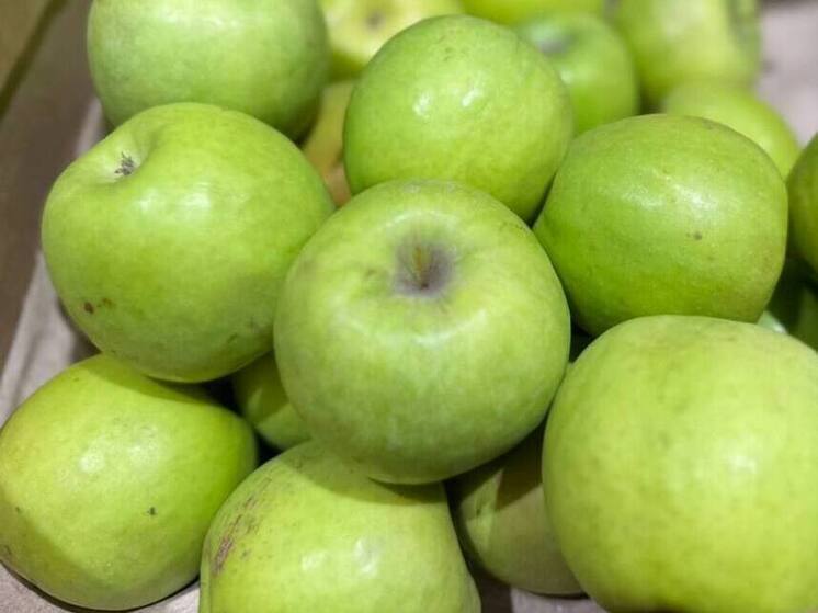 Более 6000 тонн яблок и сливы собрали аграрии Георгиевского округа