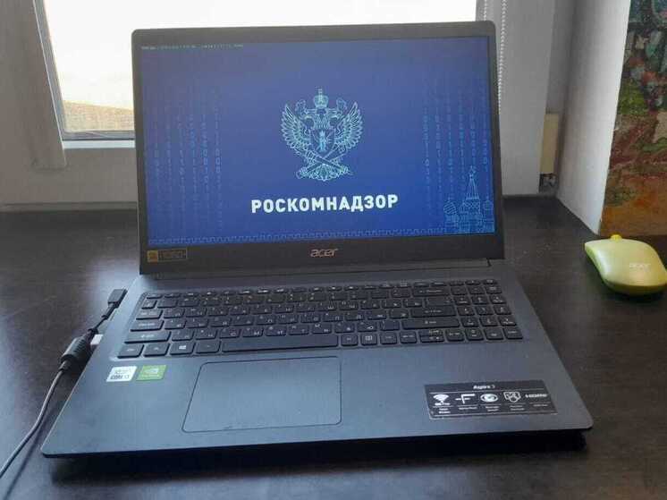 Роскомнадзор ограничил доступ к 19 тыс. страниц с фейками о выборах