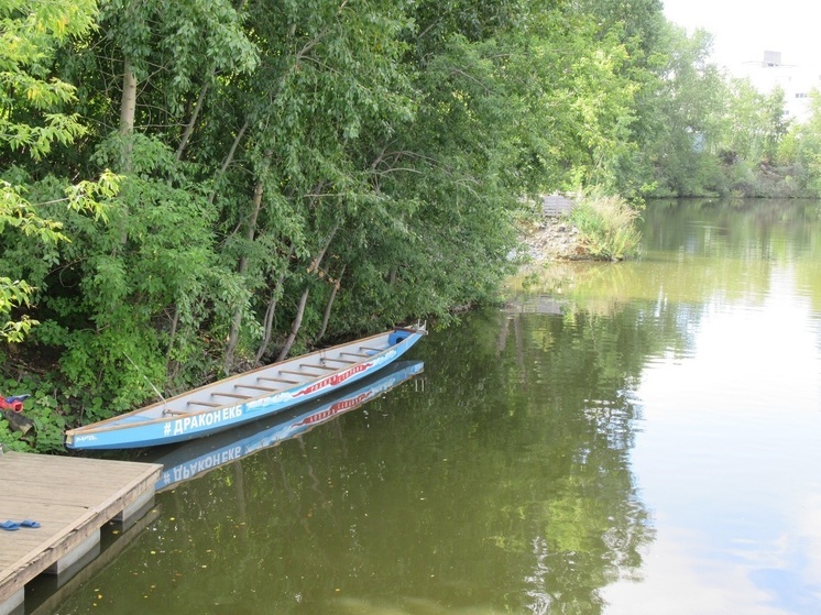 У курганского рыбака мужчины на лодке похитили щуку