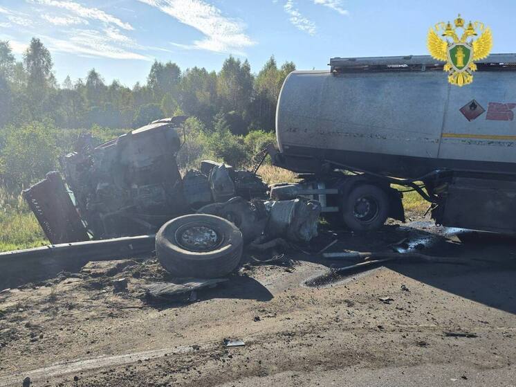 Выросло число погибших в массовой аварии под Перемышлем