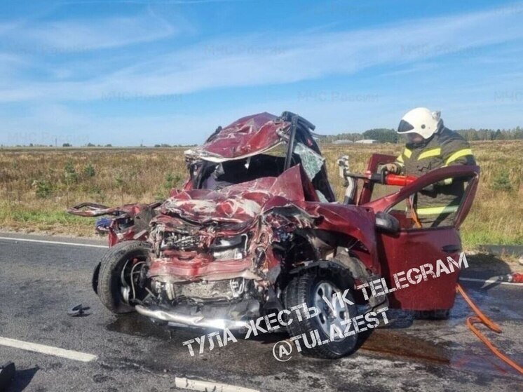 В Тульской области на трассе Р-132 произошло ДТП с двумя погибшими