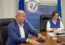 В Свердловской области во время досрочных выборов губернатора и выборов в думы ряда муниципалитетов не зафиксировано нарушений, которые бы повлияли на их результат