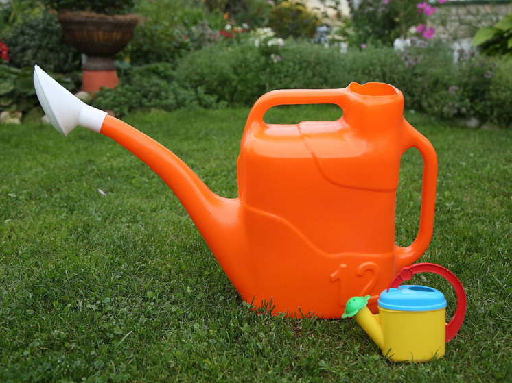 Полезные бактерии и селективные гербициды приходят на смену крестьянской тяпке