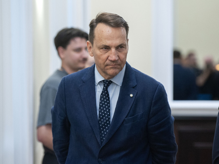 Глава польского МИД призвал создать в Северном море зону для контроля за проходом судов