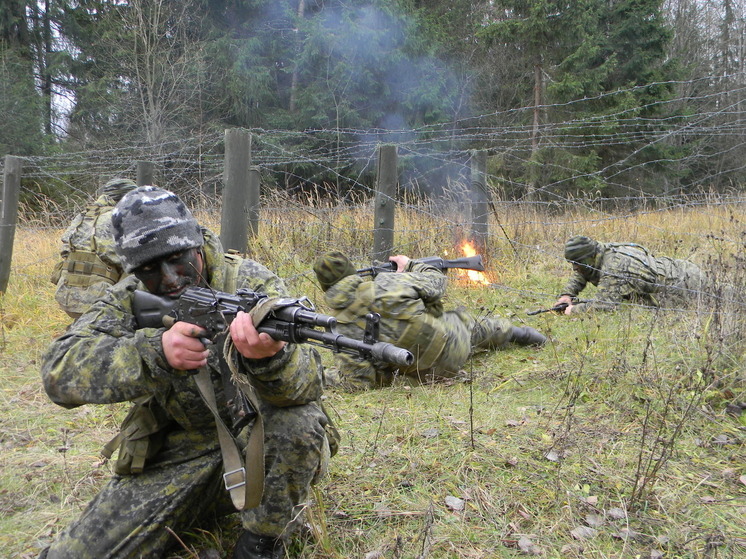 ТАСС: командир «Зак» рассказал о русских позывных ВСУ на Алексеевском острове