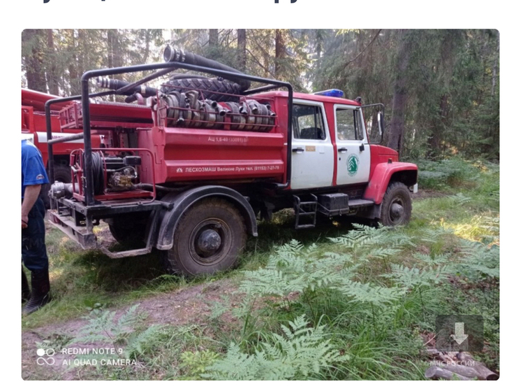 В Смоленской области ликвидирован лесной низовой пожар