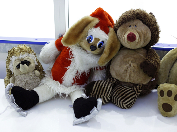 Сапер «Блага» рассказал, что ВСУ минировали мягкие игрушки в домах днепропетровской Сосновки