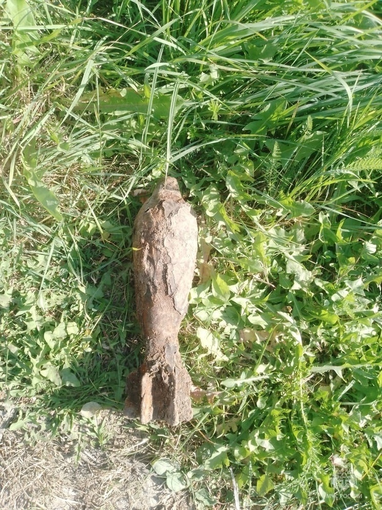 В калужском лесу обнаружили РПГ