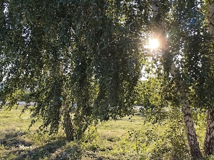 Бабье лето пришло в Омскую область