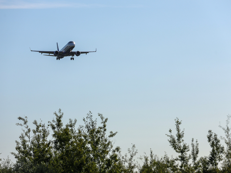 В аэропорту Новосибирска задерживаются на прилет более 10 рейсов