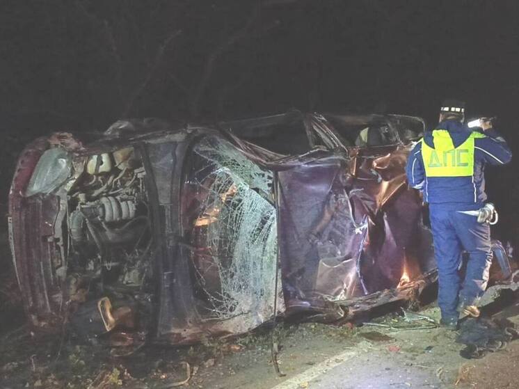 Погиб водитель автомобиля, влетевшего в дерево возле Нижнего Тагила