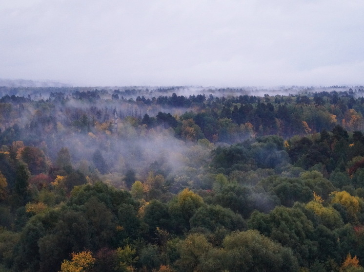 Конец сентября будет аномальным: синоптики раскрыли, где в России зарядят мощные ливни