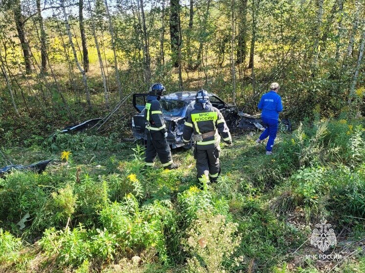 В Алексине потушили легковой автомобиль